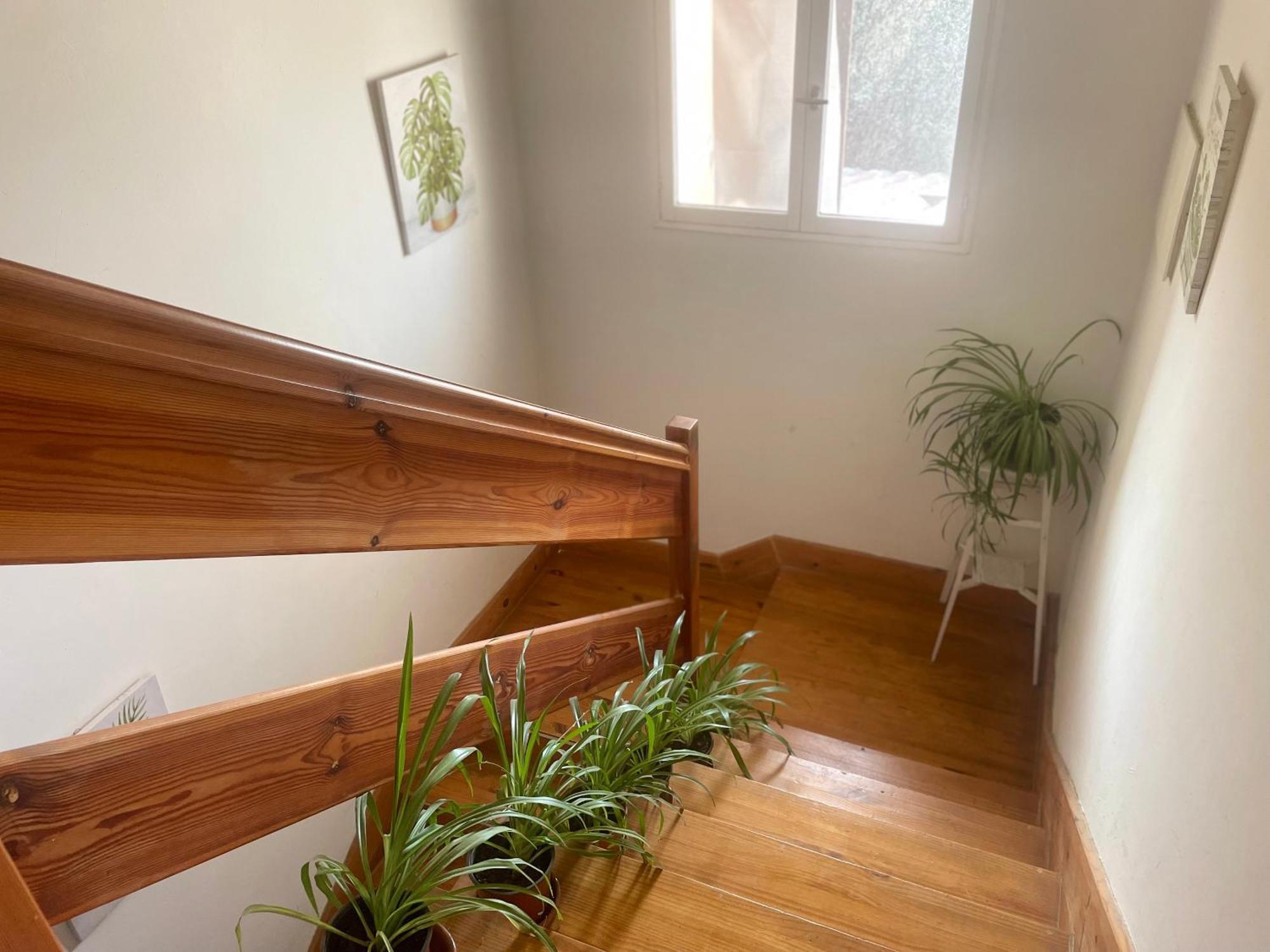 Las Hadas Albergue -Solo Para Peregrinos - Vegano -Bar Reliegos Exterior foto